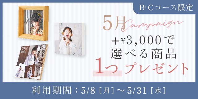 +3000円で選べる商品1つプレゼント