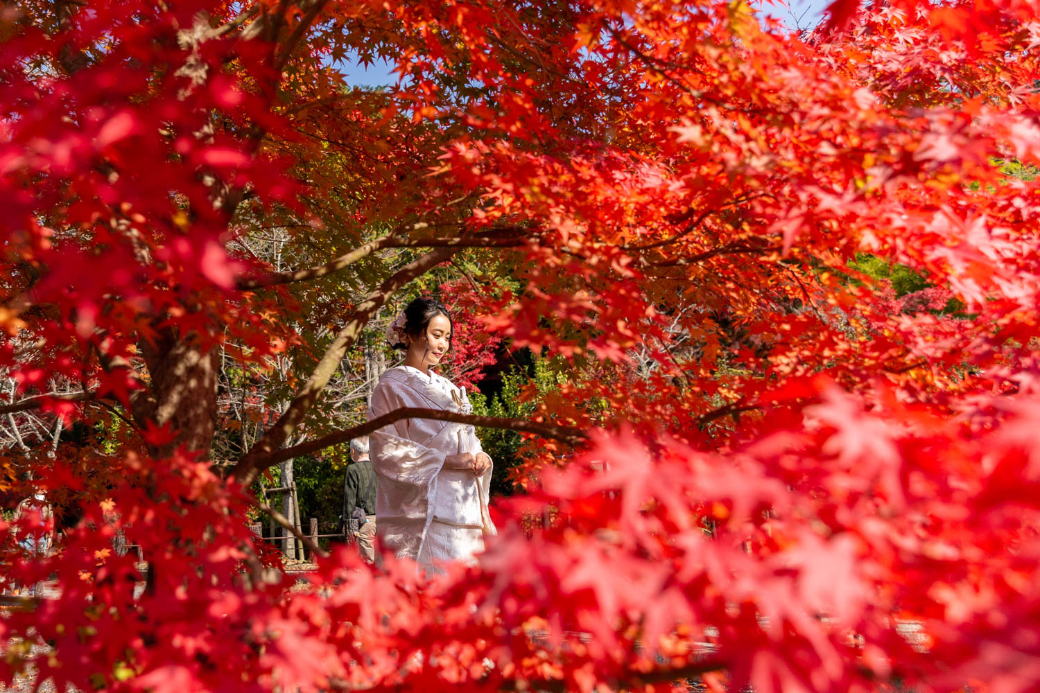 京都 哲学の道