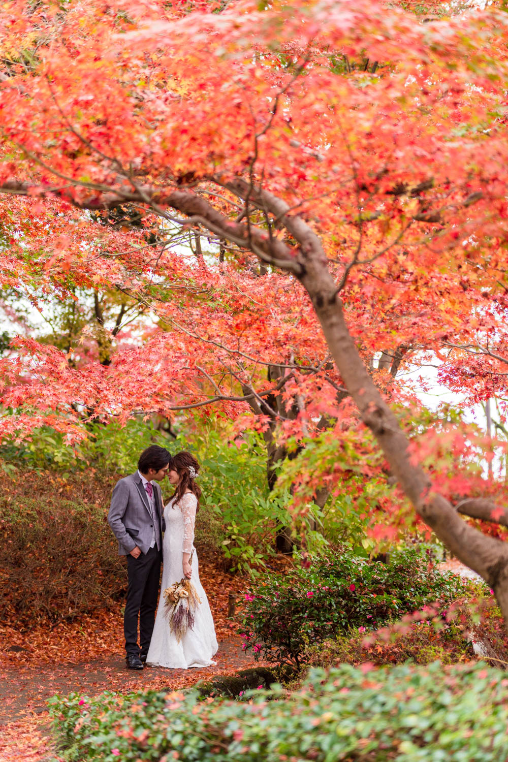 2023　おすすめ紅葉ロケ特集♪