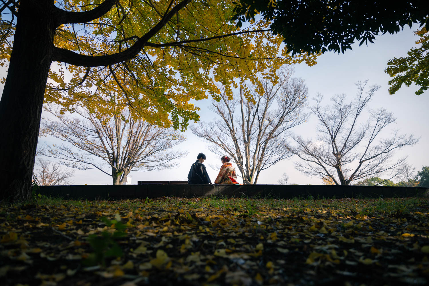 木場公園