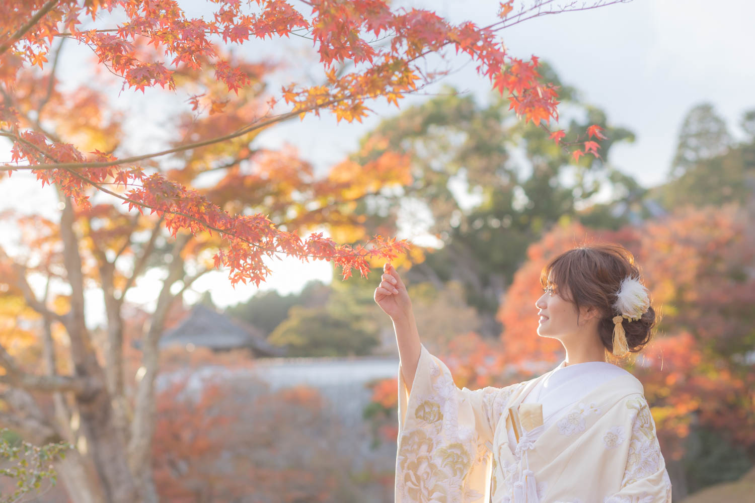 2023　おすすめ紅葉ロケ特集♪