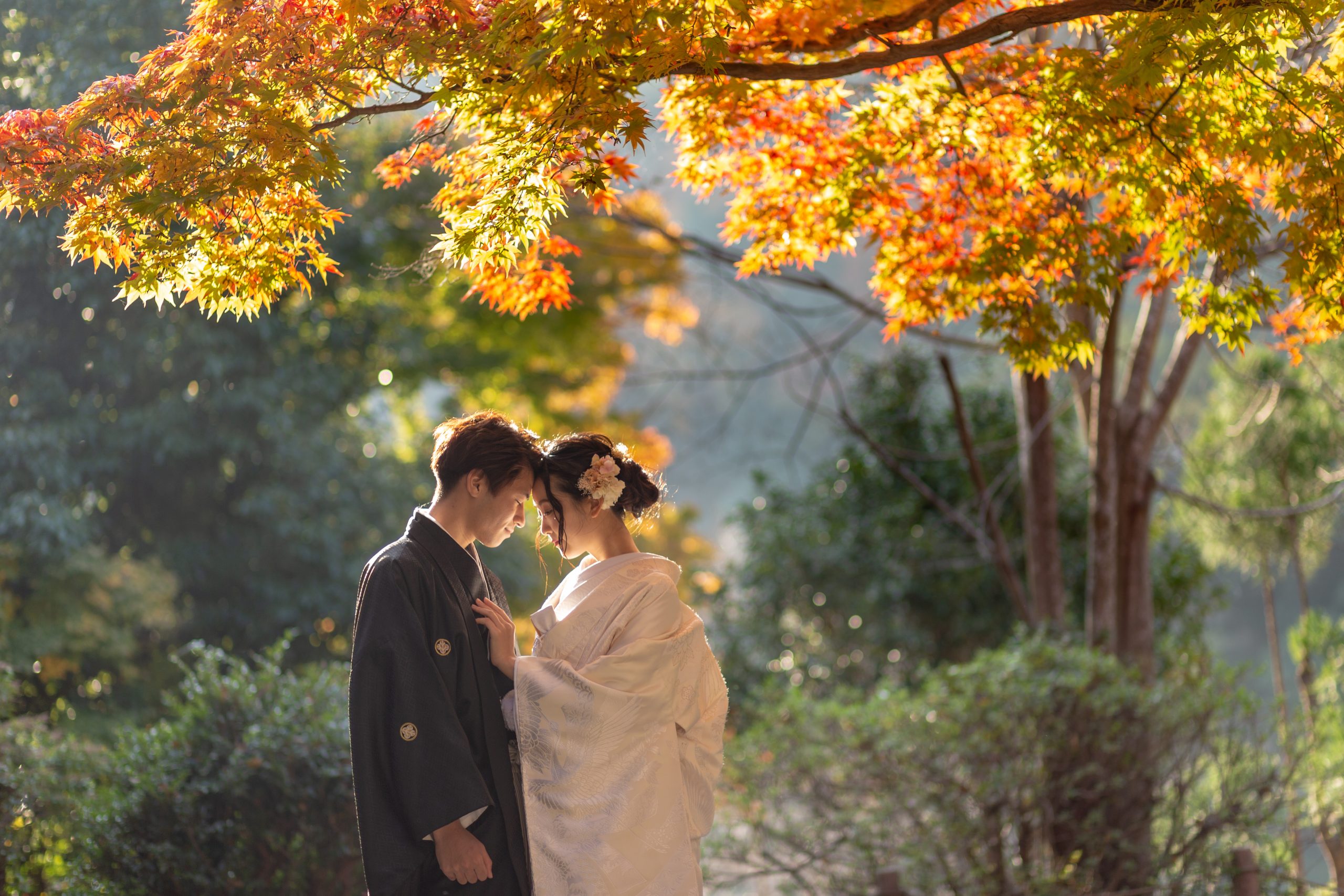 【関西ロケ限定】<br>ムービープランの写真