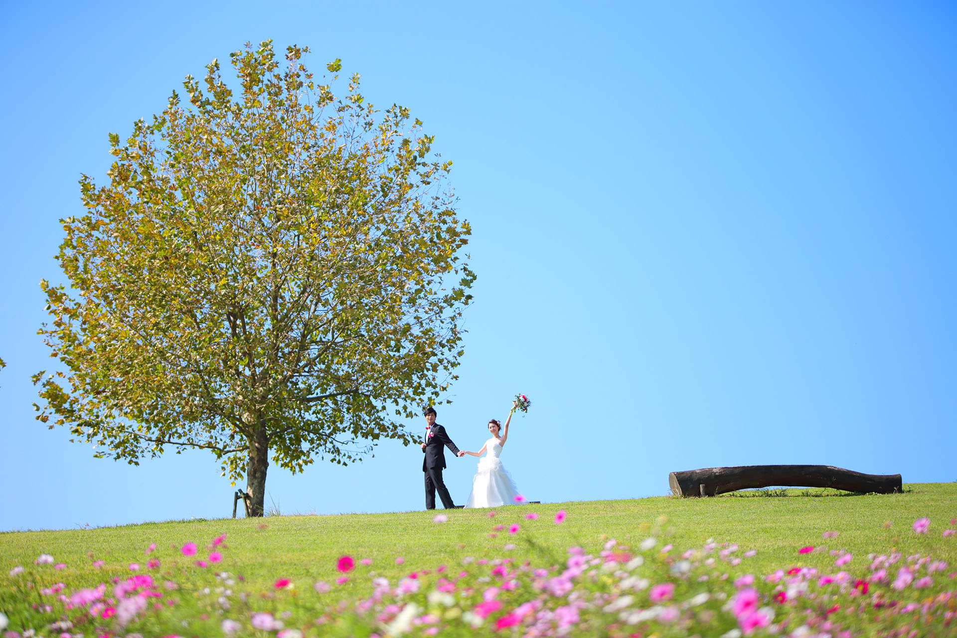 あわじ花さじき