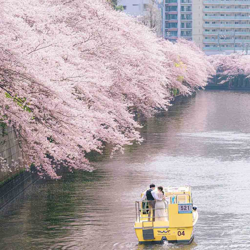 船上フォトウェディング（目黒川）の写真