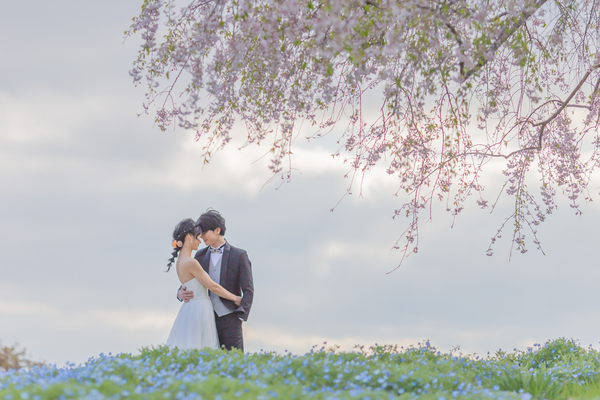 東京 昭和記念公園