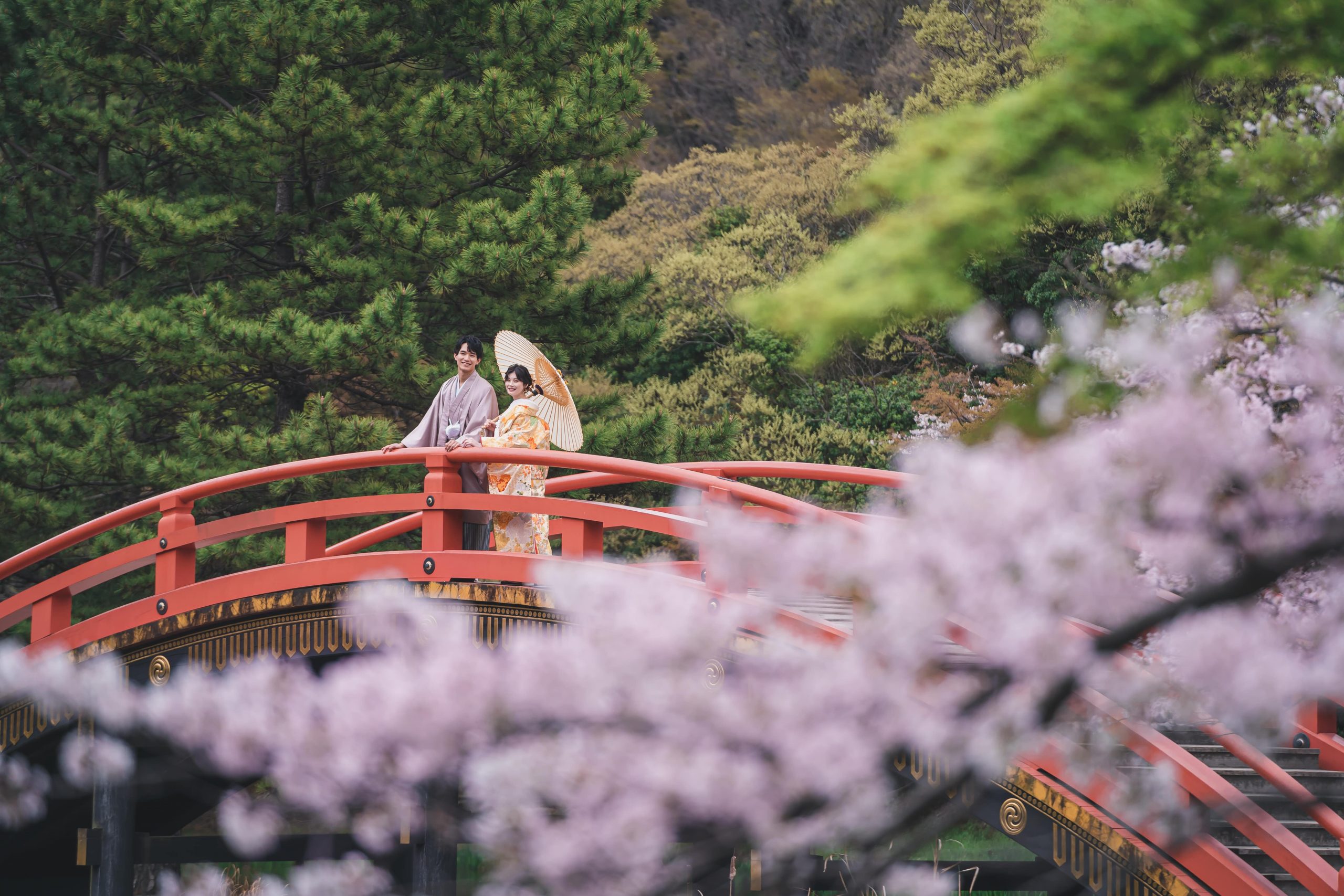 2024　おすすめ桜ロケ特集♪