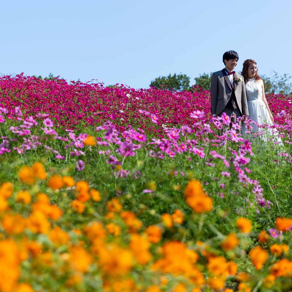 万博記念公園の写真