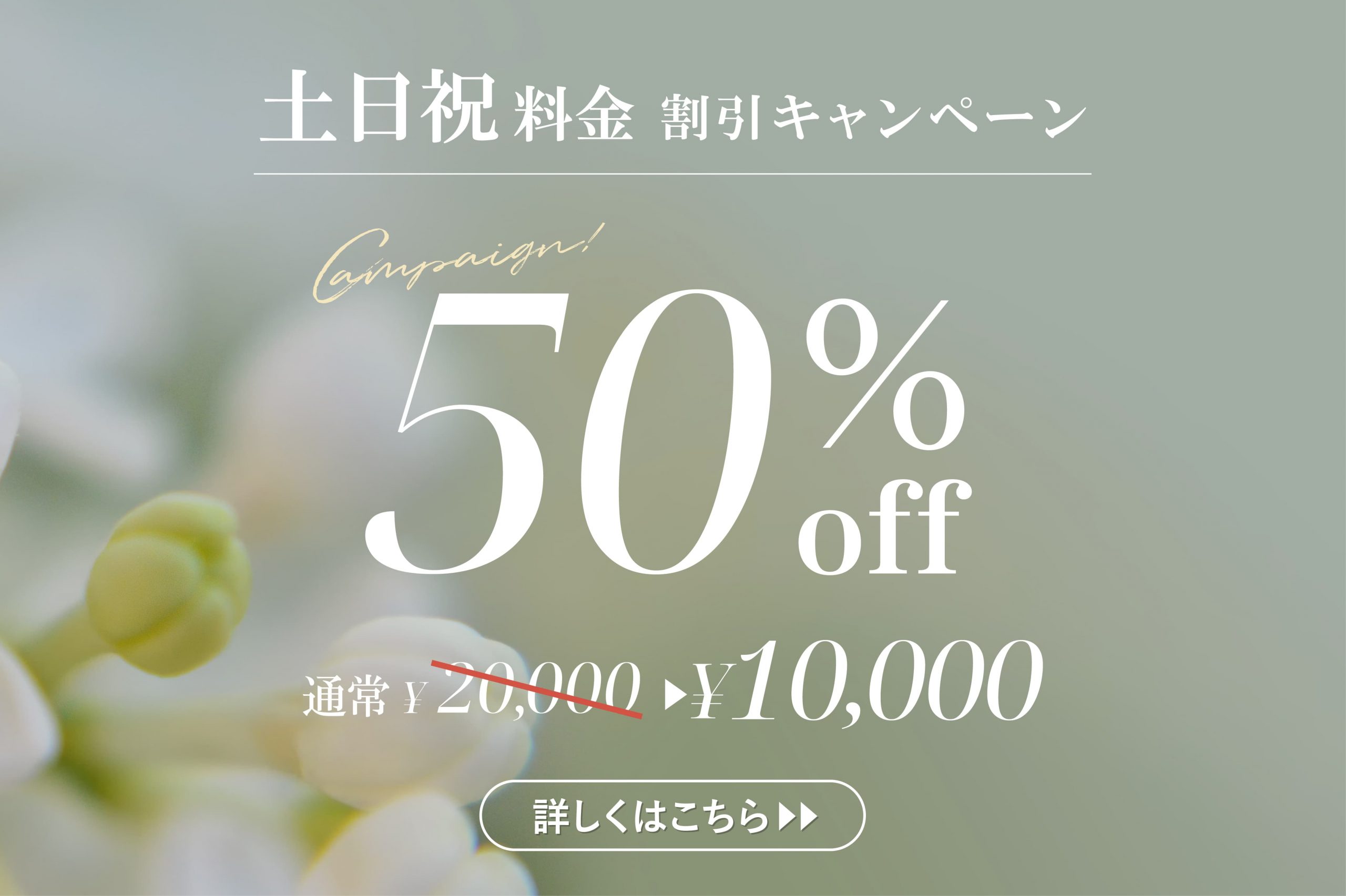 【公式】土日祝割引！今なら50％OFFキャンペーン！