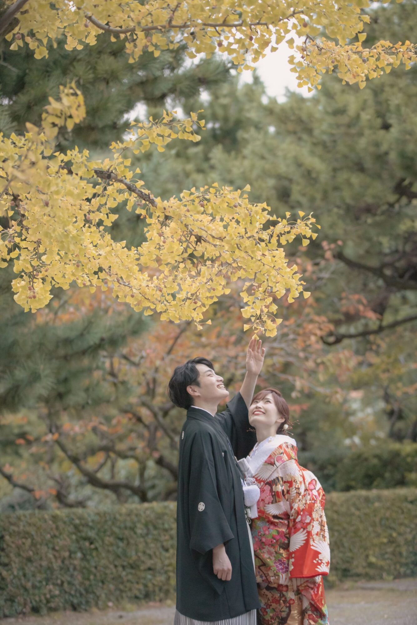 温山荘園 (5)