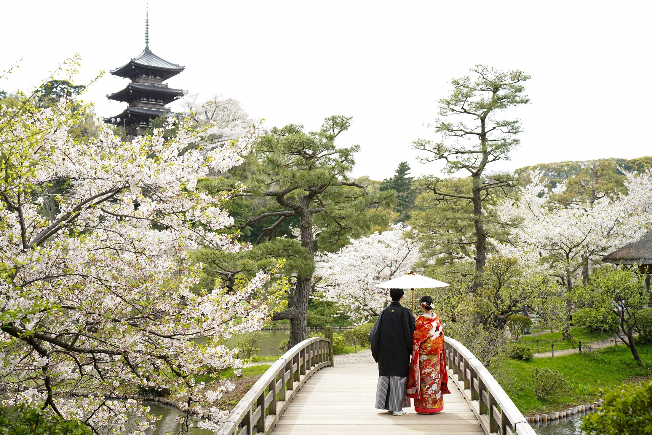 三渓園の日本庭園で和装を着て結婚式の前撮りをする新郎様と新婦様。季節の花と共に四季を感じながらウェディングフォトの撮影が出来る人気のロケーション。撮影：STUDIOARC