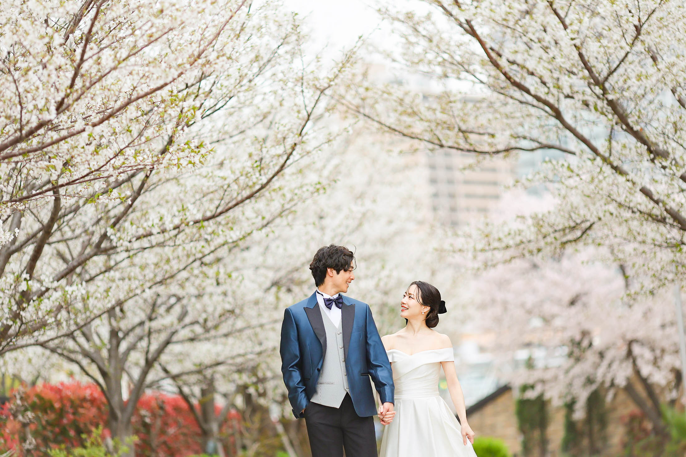 神戸ハーバーランドの桜の木の前でのフォトウエディング撮影。タキシードを着た新郎様とウエディングドレスを着た新婦様が笑顔で手を繋ぎ見つめ合って桜の木の下を歩いている写真。晴れた日の結婚の記念写真撮影。