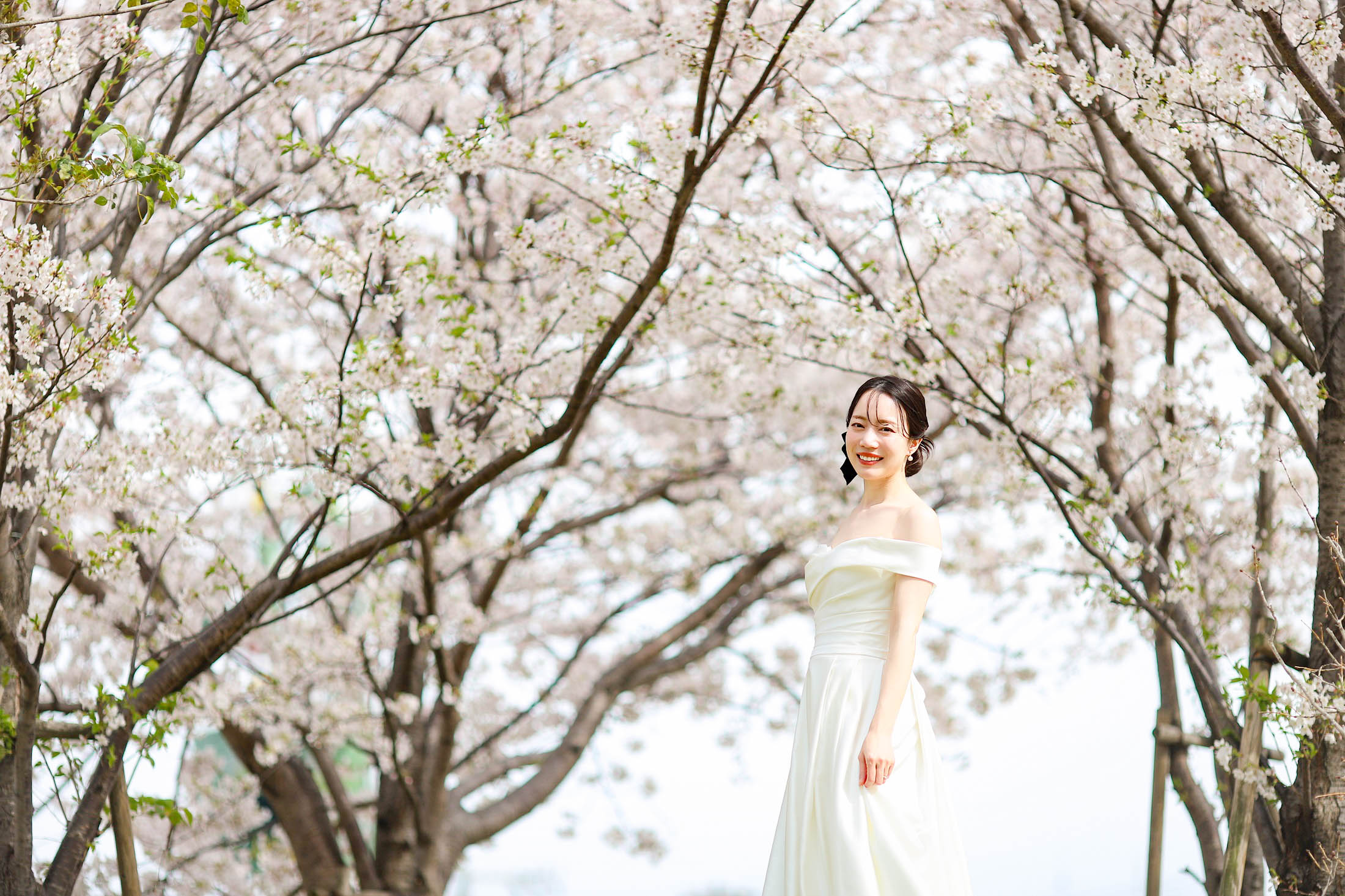 神戸ハーバーランドの桜の前でのフォトウエディング撮影。ウエディングドレスを着た新婦様一人で笑顔で桜の前でたっている姿。晴れた日の結婚の記念写真撮影。