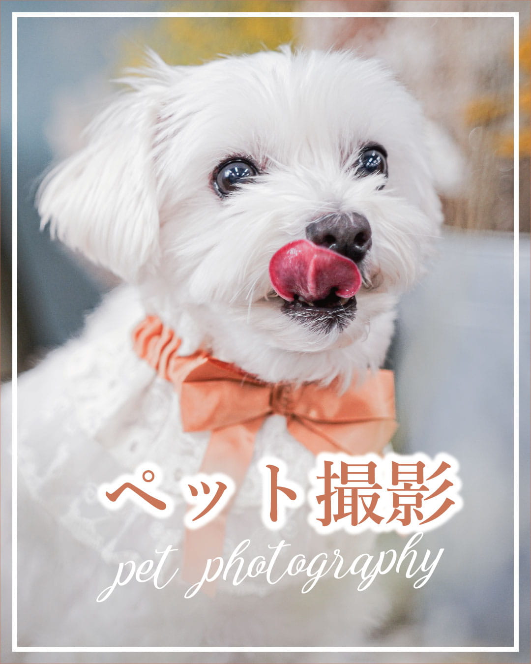 芝Parkside STUDIO店