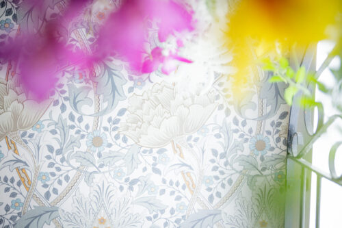STUDIO ARC神戸ハーバーランド店の店内装飾。白地に青やグレーの花柄が描かれたクラシックな壁紙を背景に、手前にはピンクと黄色の花がぼかされて写り、右手にはグリーンの窓枠が添えられている