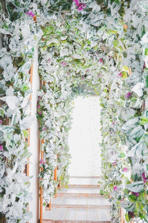 STUDIO ARCテラスモールまつど店の店内装飾。斑入りの緑の葉とピンクの花をあしらった植物のガーランドが天井や左右の壁面を覆い、木目調の床が続くアーチ状の通路になっている