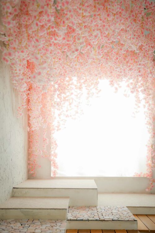 STUDIO ARCおおとり店の撮影セット。天井から大きな窓を覆うように、ピンクと白の桜の花が満開に垂れ下がり、光が透けて幻想的に輝いている。手前には白い階段状のステージがある、春らしく華やかなスタジオ空間。