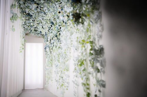 STUDIO ARC横浜店の撮影セット。天井から壁一面に、ブルーや白の小花と緑の葉がびっしりと垂れ下がる廊下。奥には明るい光が差し込む白いドアがある、幻想的でナチュラルなスタジオ空間。