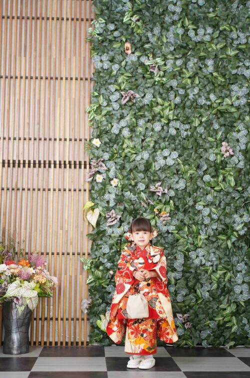 着物を着た3歳の女の子。芝Parkside STUDIO での七五三のスタジオ撮影。