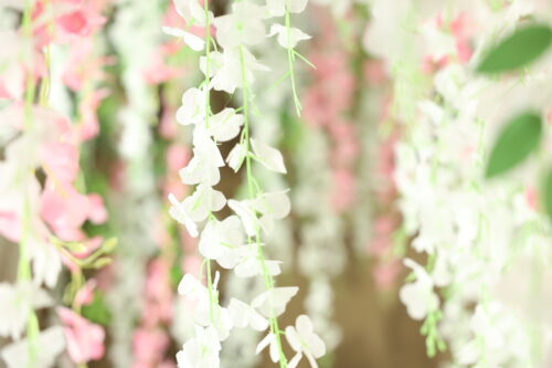 STUDIO ARC枚方店の撮影セット。天井から白とピンクの藤のような花飾りが何本も垂れ下がり、手前の白い花にピントが合って、奥の花や緑の葉がやわらかくぼけている。白・ピンク・淡いグリーンを基調にした、明るくやさしい雰囲気の空間。